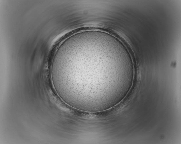 X0000113590971200910021713