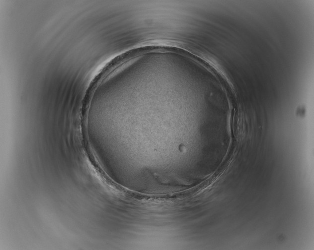 X0000113590972200910021713