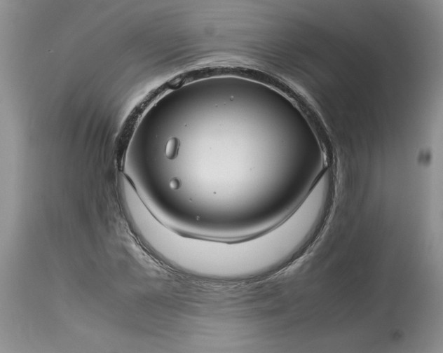 X0000113590973200910021713