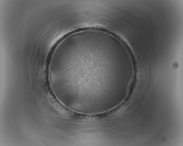 X0000113590975200910021713