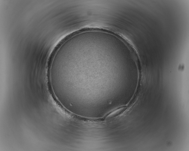 X0000113590976200910021713