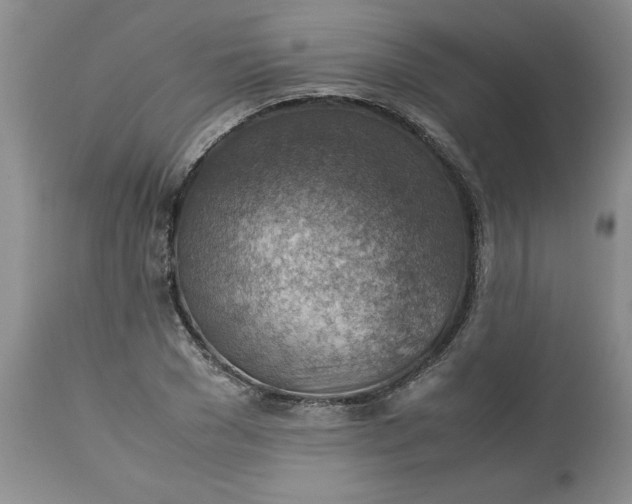 X0000113590977200910021713