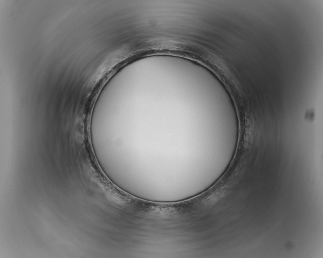 X0000113590978200910021713