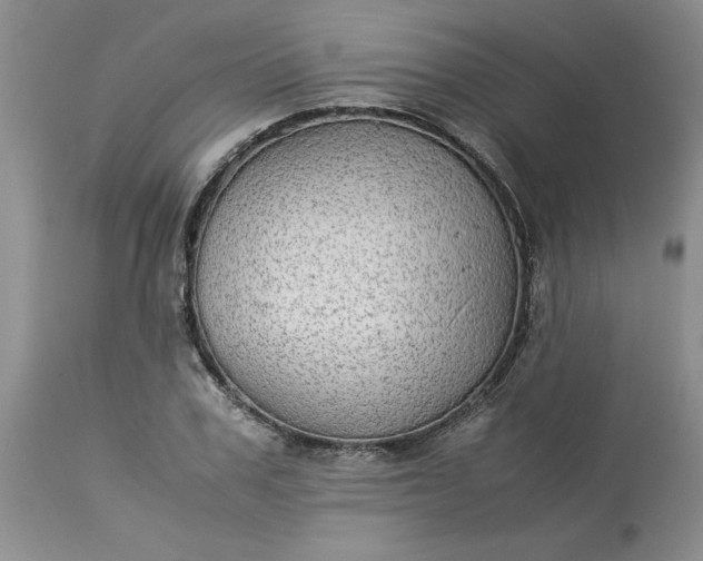 X0000113590979200910021713