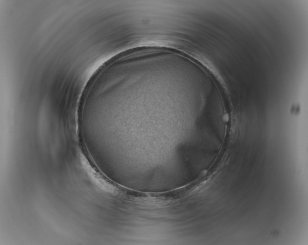 X0000113590980200910021713