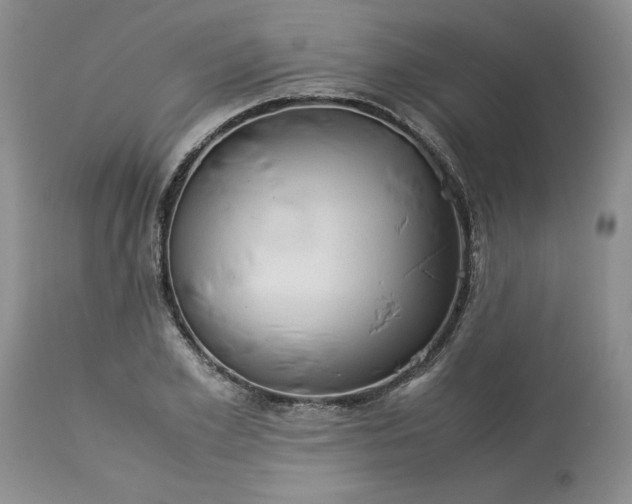 X0000113590981200910021713