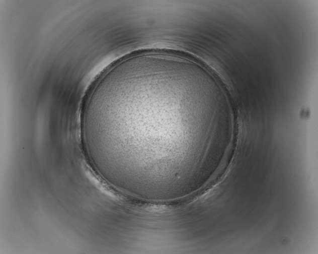 X0000113590982200910021712