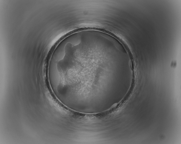 X0000113590983200910021712