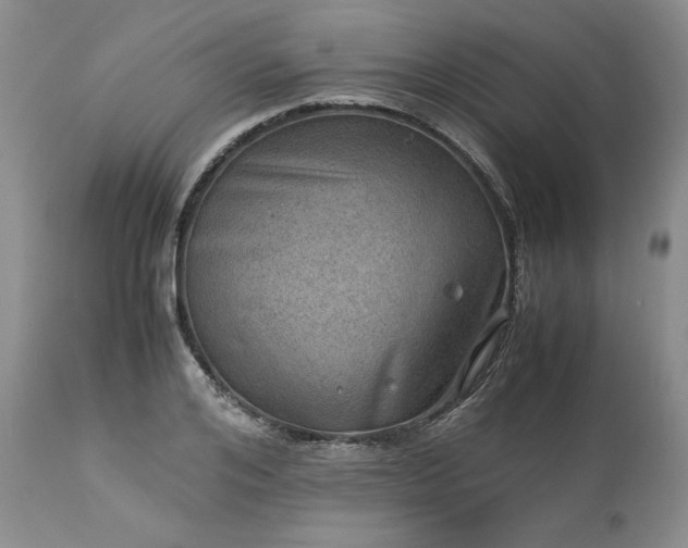 X0000113590984200910021712