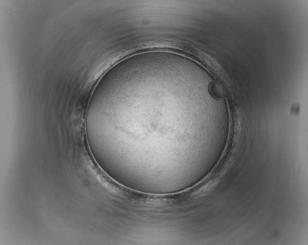 X0000113590985200910021712