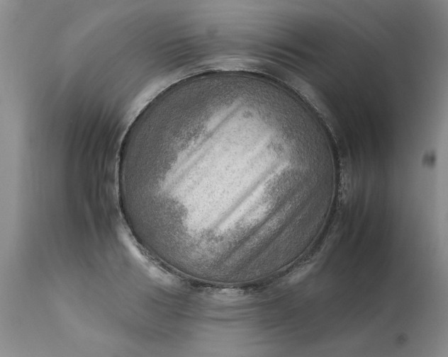 X0000113590986200910021712