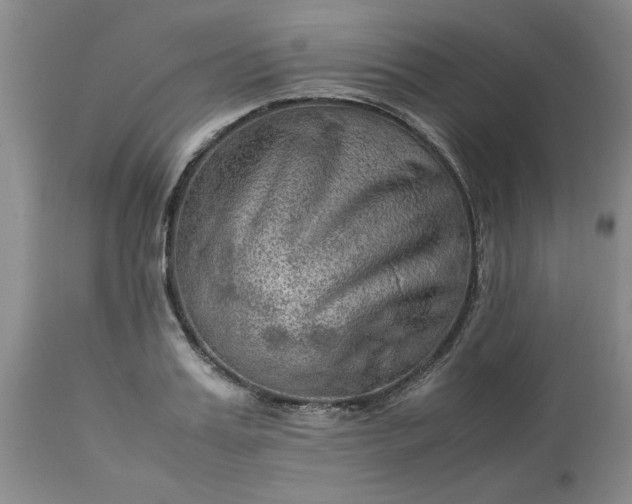 X0000113590987200910021712