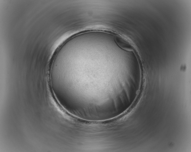 X0000113590989200910021712