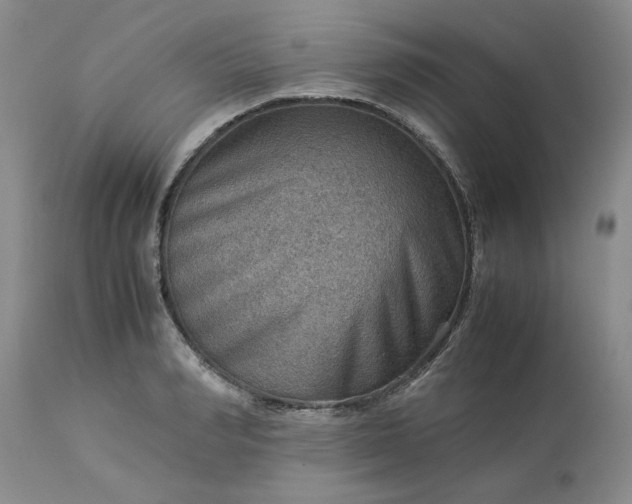 X0000113590990200910021712