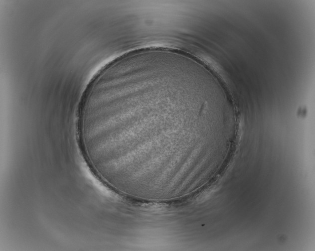 X0000113590991200910021712