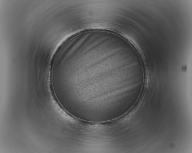 X0000113590992200910021712