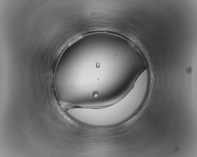 X0000113590993200910021712