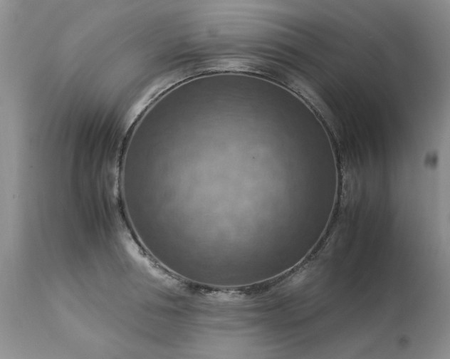 X0000113590994200910021712