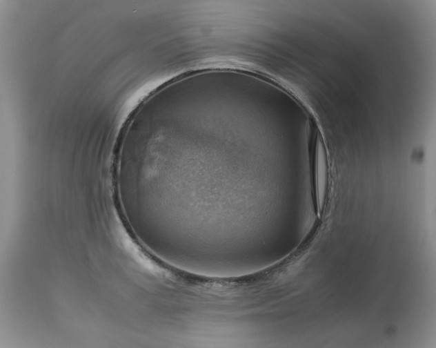 X0000113590995200910021712