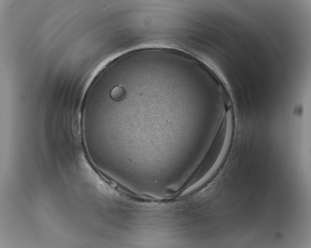 X0000113590996200910021712