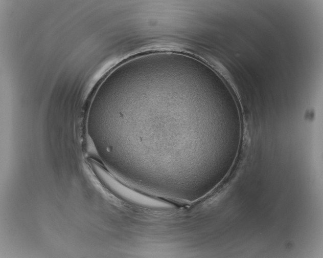 X0000113590997200910021712