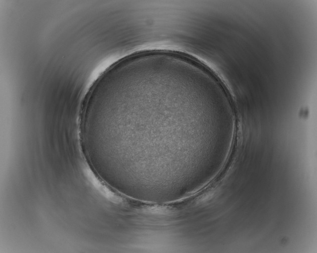 X0000113590998200910021712