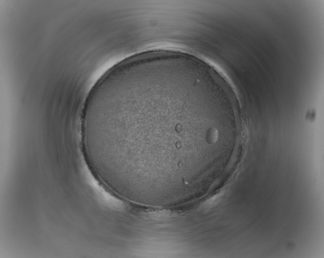 X0000113590999200910021712