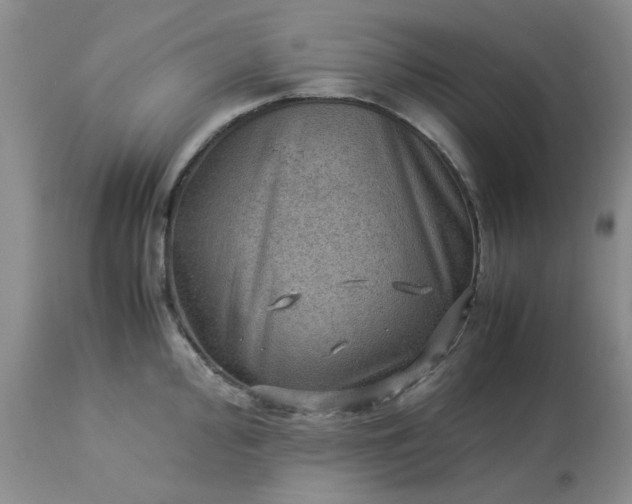 X0000113591000200910021712