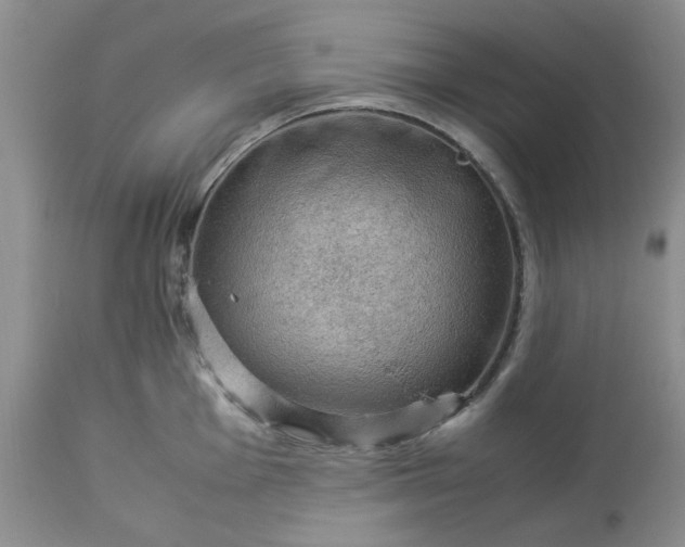 X0000113591001200910021712