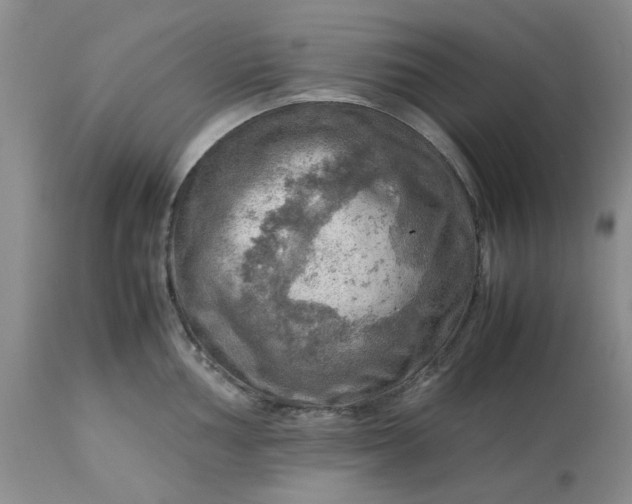 X0000113591002200910021712