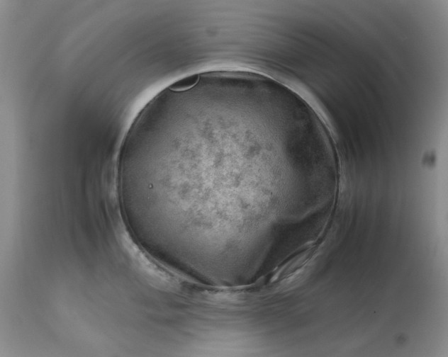 X0000113591004200910021712