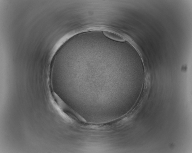 X0000113591005200910021712