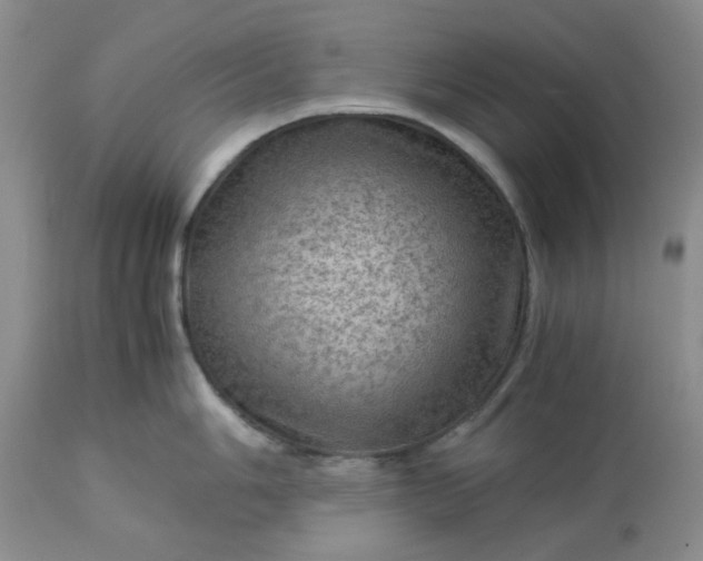 X0000113591006200910021712