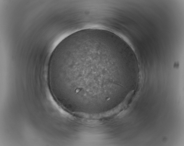 X0000113591007200910021712