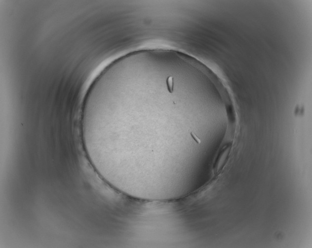 X0000113591008200910021712