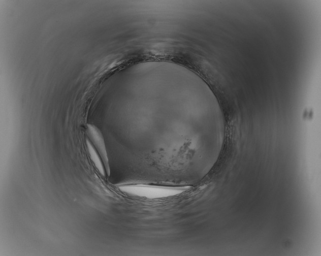 X0000113591009200910021711