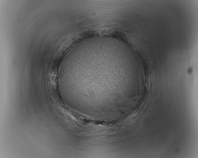 X0000113591010200910021711