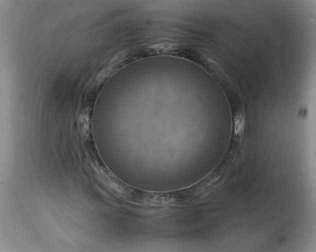 X0000113591011200910021711