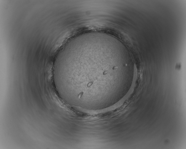 X0000113591012200910021711