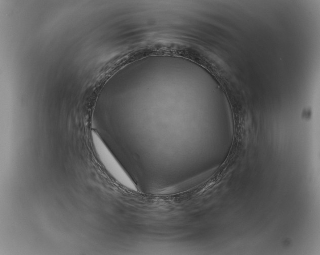 X0000113591013200910021711