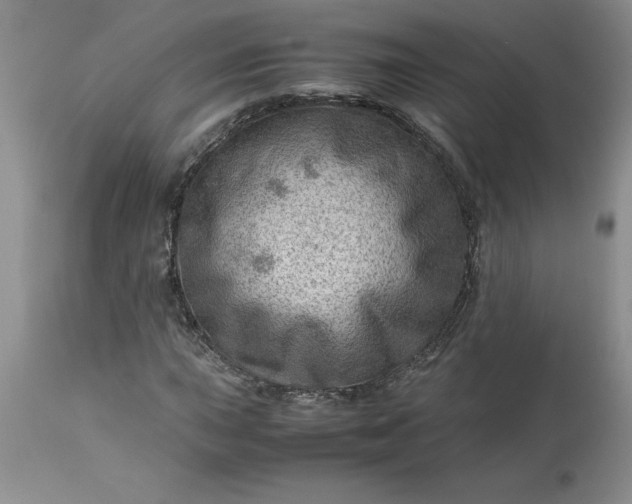 X0000113591015200910021711