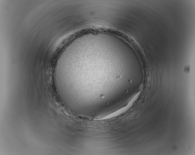 X0000113591016200910021711