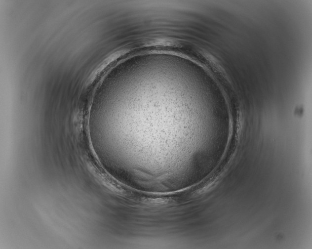 X0000113591017200910021711