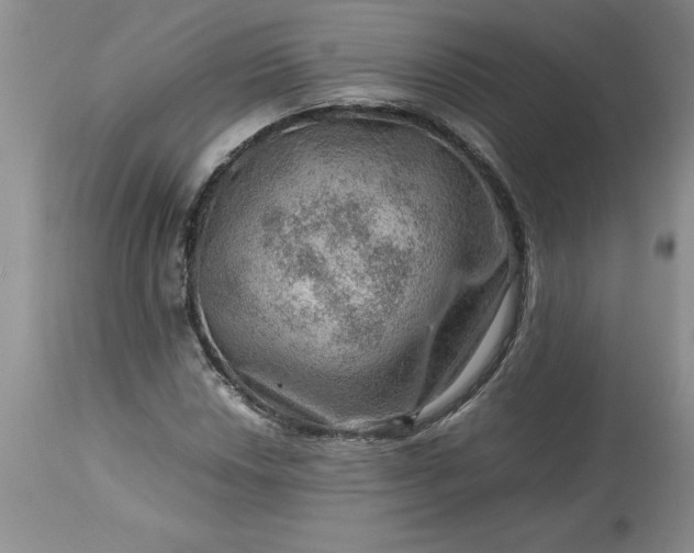 X0000113591018200910021711