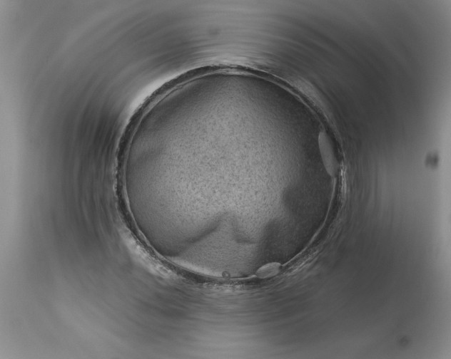 X0000113591020200910021711