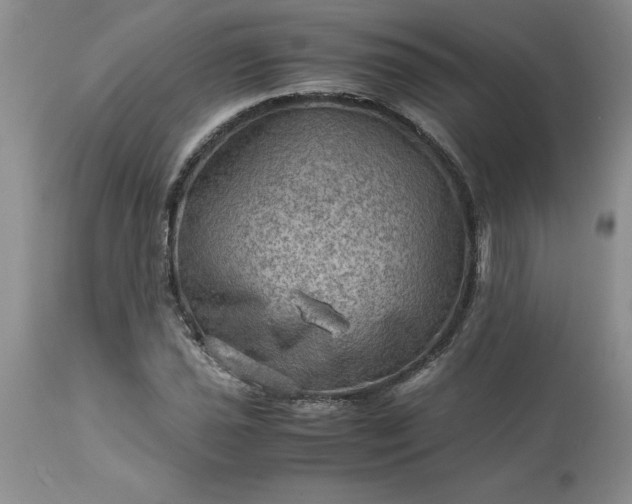 X0000113591021200910021711