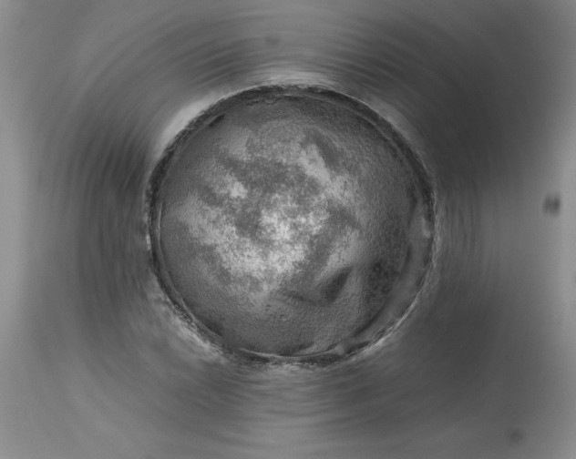 X0000113591022200910021711