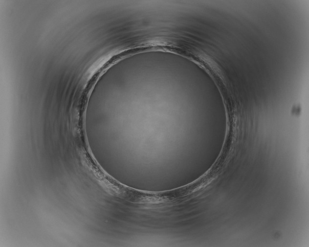 X0000113591023200910021711