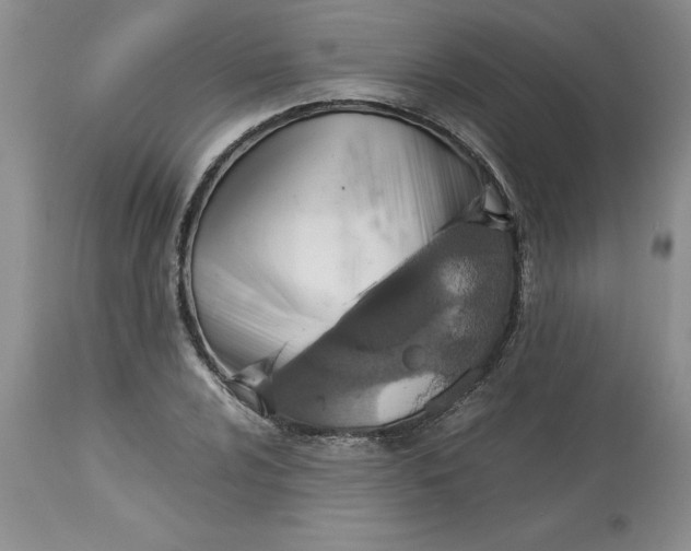 X0000113591024200910021712