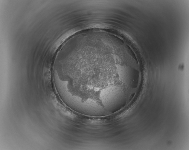 X0000113591025200910021712